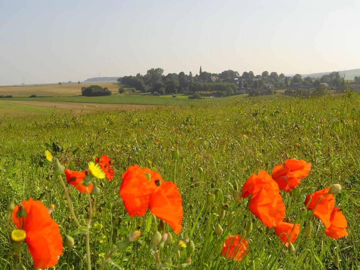 Villa Chavasse House, Chavasse Farm, Somme Hardecourt-aux-Bois Esterno foto
